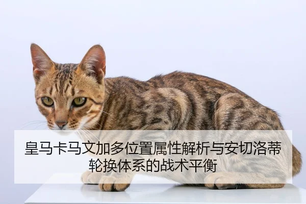 皇马卡马文加多位置属性解析与安切洛蒂轮换体系的战术平衡